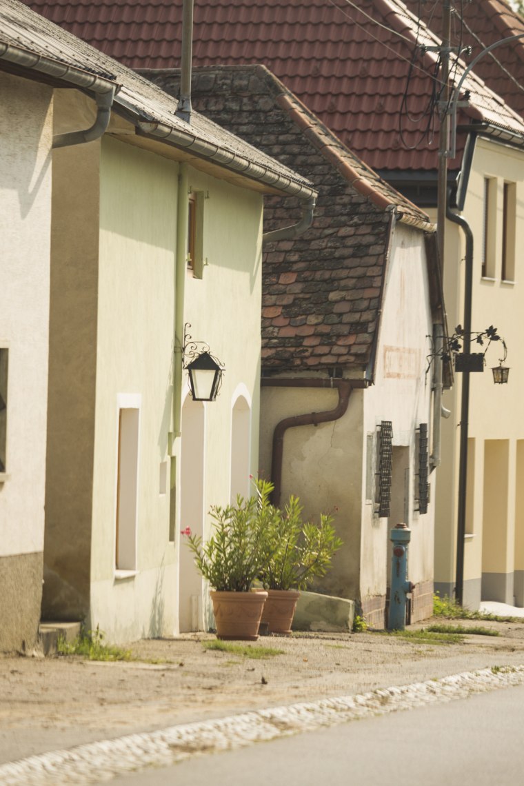 Weintour Weinviertel, © Weinviertel Tourismus / Bartl Weintour Weinviertel, © Weinviertel Tourismus / Bartl