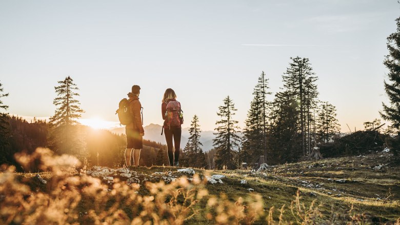 Luchs Trail im Mostviertel, © Niederösterreich Werbung/Max Mauthner Luchs Trail im Mostviertel, © Niederösterreich Werbung/Max Mauthner