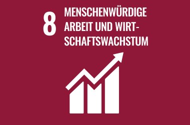 Icon SDG Menschenwürdige Arbeit und Wirtschaftswachstum, © CC0