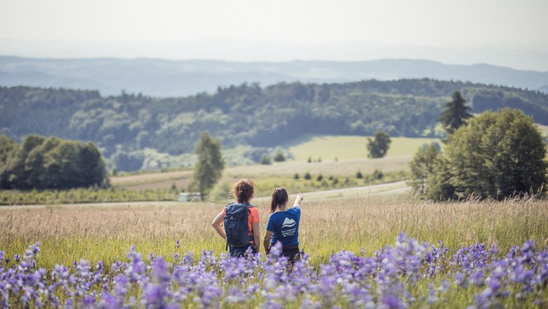 Jauerling, Naturpark, © Chris Laistler / Branding_Brothers