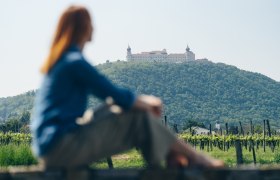 Weingut und Hotel Malat, Furth - Palt, Göttweig, Donau in Niederösterreich, © Ian Ehm