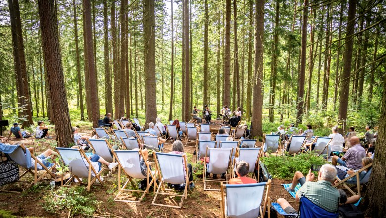 Festival-Land, © Niederösterreich Werbung/ Robert Herbst