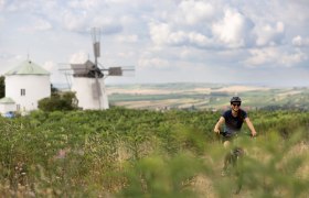 Windmühle Retz, © Weinviertel Tourismus/ Markus Frühmann