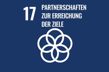 Icon SDG Partnerschaften zur Erreichung der Ziele, © CC0