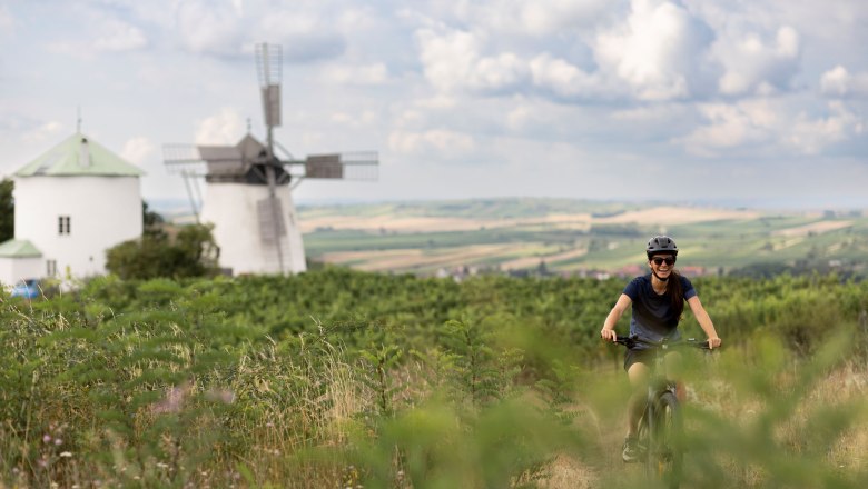 Windmühle Retz, © Weinviertel Tourismus/ Markus Frühmann