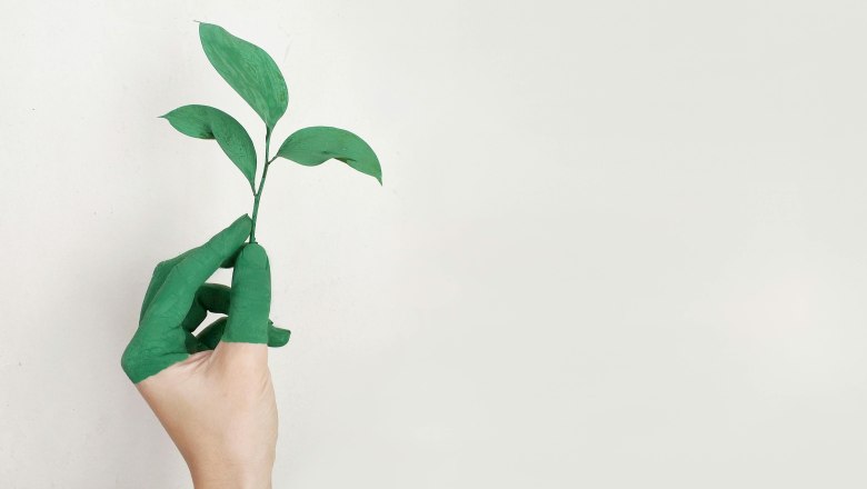 Linke Hand der Person, die Gr&uuml;ne Blatt-Pflanze h&auml;lt, &copy; Alena Koval_pexel.com
