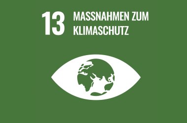 Icon SDG: Maßnahmen zum Klimaschutz, © CC0