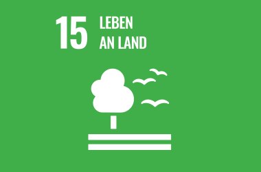 Icon SDG Leben an Land, © CC0