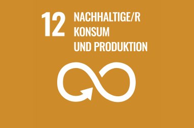 Icon SDG Nachhaltiger Konsum &amp; Produktion, © CC0